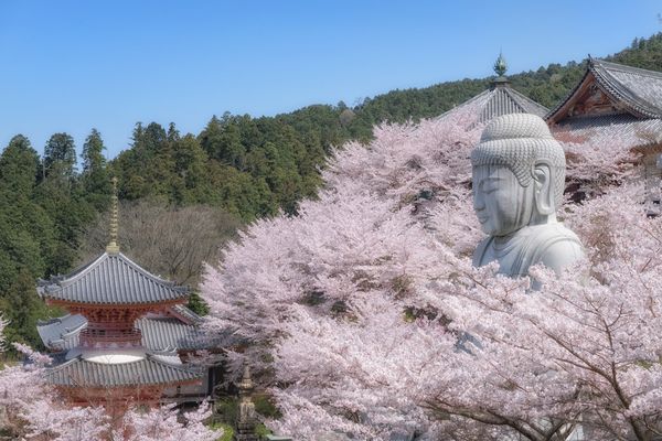 壷阪寺