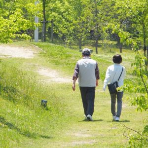 変形性膝関節症アイコン