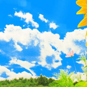 高血圧アイコン