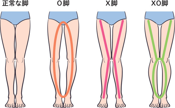 脚あれこれ